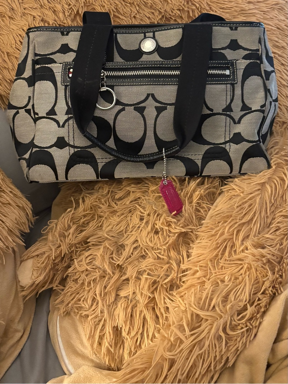 Y2K-era Coach Daisy Signature Tote 2011